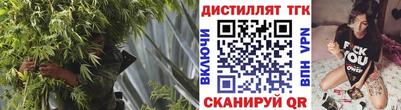 ТГК гашишное масло  Шали 
